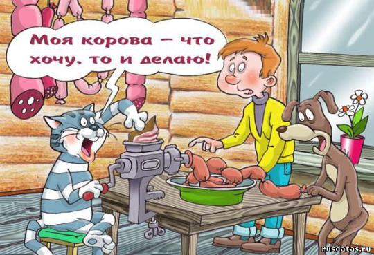 <i>: prikol.i.ua</i>