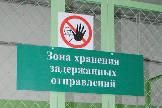 <i>:nsk.kp.ru</i>