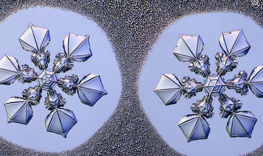 : LadyDragonflyCC/Flicker.com      Kenneth G. Libbrecht/Snowcrystals.com