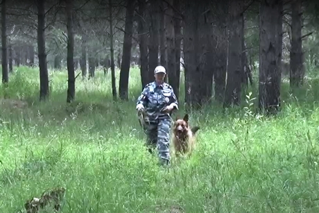 Скриншот видео пресс-службы УМВД России по Ангарску